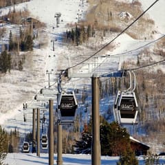 First Tracks 3204 (467379)