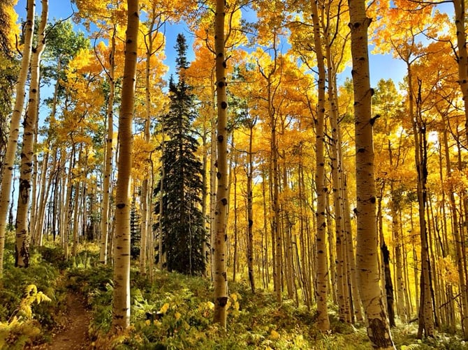 10 Fall Favorites