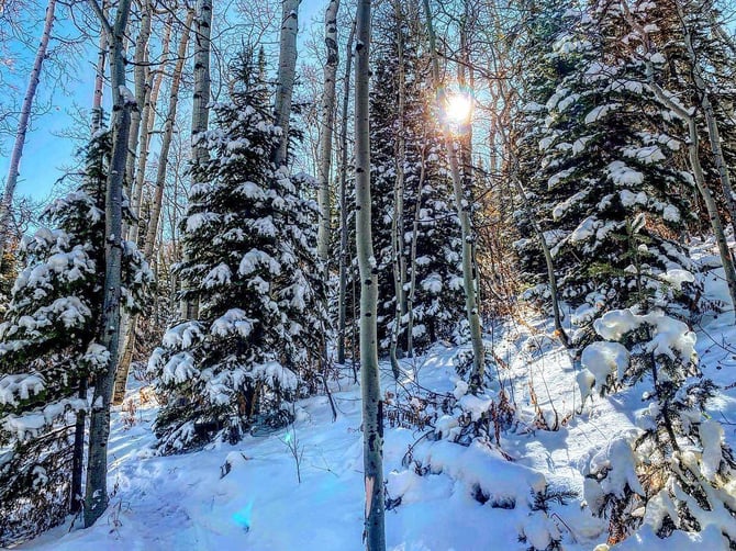 Snowshoe, Sled and Soak!