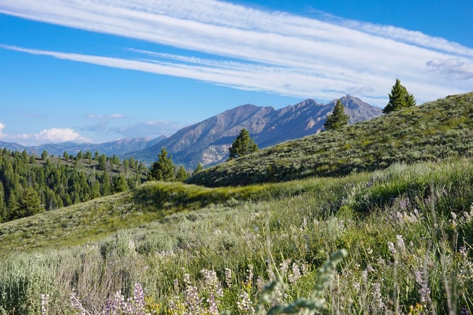 Spring Festivals and Events in Steamboat Springs