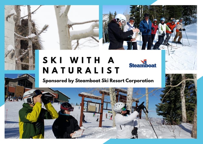 Ski With a Naturalist in Steamboat Springs