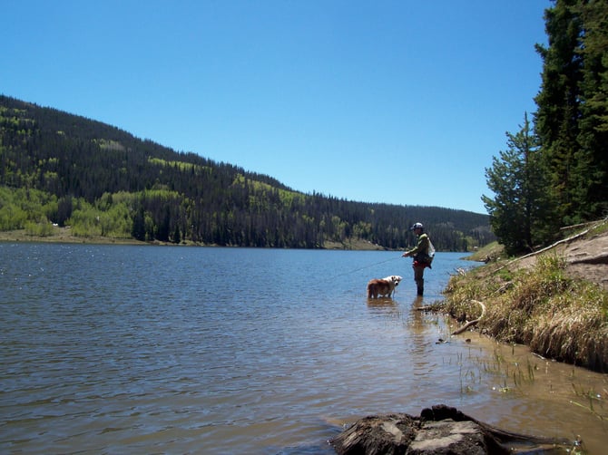 Flyfish Pristine Rivers and Lakes