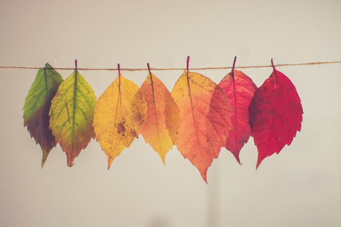 Things to Do This Fall in Steamboat Springs