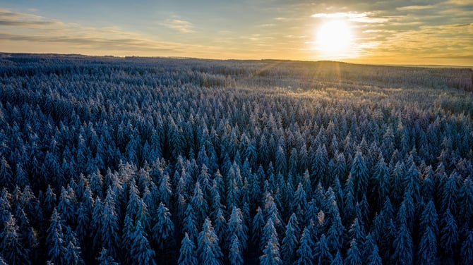 The Joy of Spring Skiing in Steamboat Springs