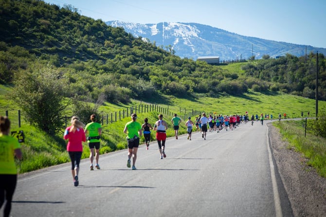 Running Through Fields of Green and Snow-Capped Mountains: Steamboat