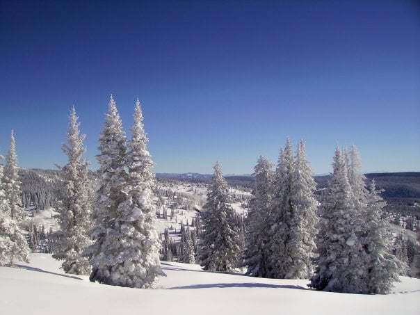 So Many Fun Events Happening in Steamboat!