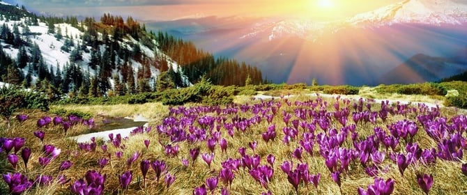 Springalicious in Steamboat