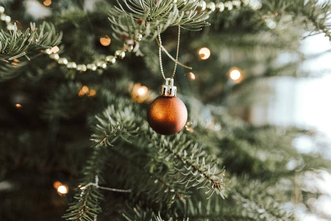 Festival of Trees at the Tread of Pioneers Museum