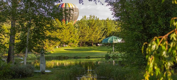 A Summer Gem to Explore