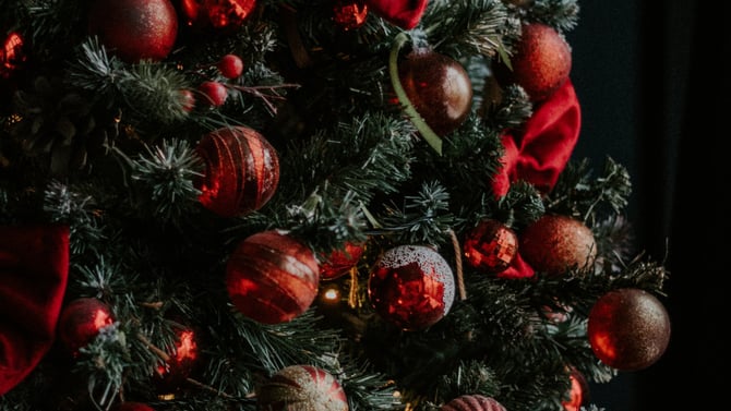 Festival of Trees at the Tread of Pioneers Museum