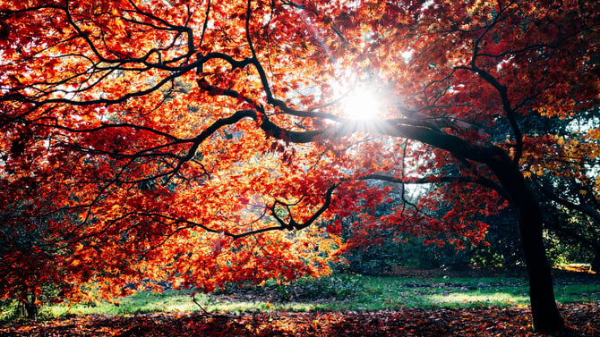 Spend Fall in Steamboat Springs