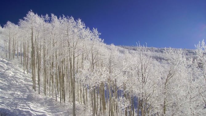 Powder Hungry? Here Are My Favorite Runs on a Powder Day in the 'Boat