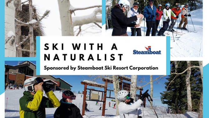Ski With a Naturalist in Steamboat Springs