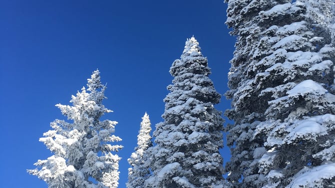 Conde Nast's Guide to Steamboat Springs