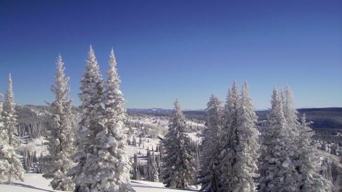 So Many Fun Events Happening in Steamboat!