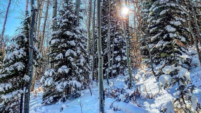 Snowshoe, Sled and Soak!