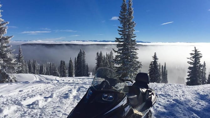 Winter Fun on a Snowmobile Tour