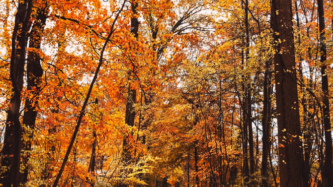Autumn Hikes in Steamboat Springs