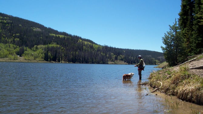 Flyfish Pristine Rivers and Lakes