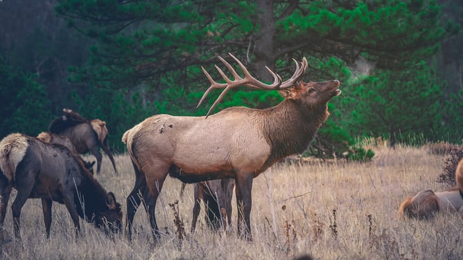 Things to Do This Fall in Steamboat Springs